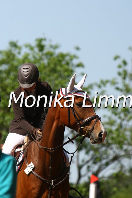 104M8130_Lilly Magic_Springpf L.JPG